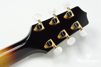 P6NC - Brown Sunburst Gloss